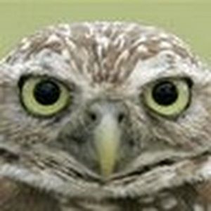 Meet your Posher, J. brent